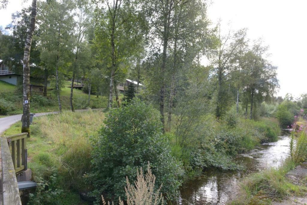 Chalet "A L Oree Du Bois" 불랑쥬 외부 사진