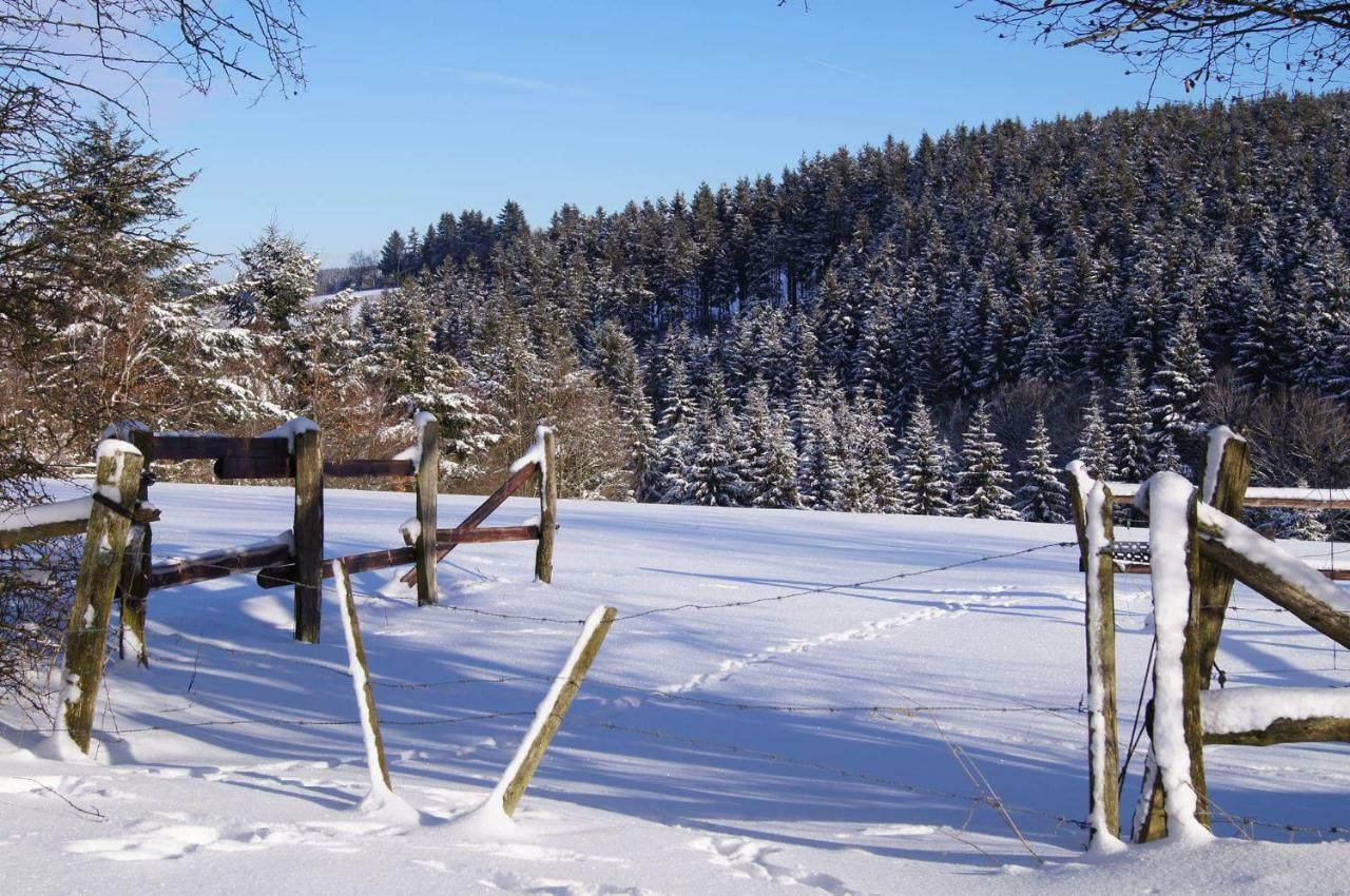 Chalet "A L Oree Du Bois" 불랑쥬 외부 사진